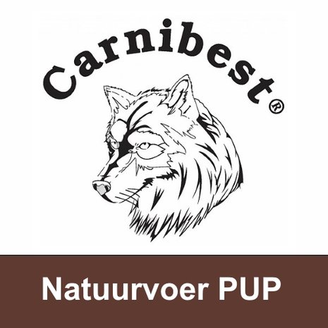 CARNIBEST | RUNDVLEES, KIP & Rijst PUPPY | 500 gram